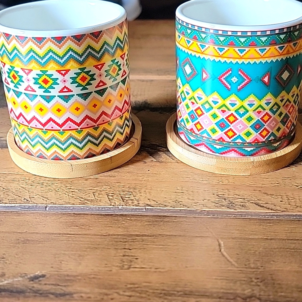 Ceramic Succulent Pots set of 2